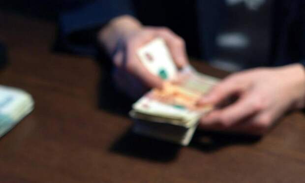 Экс-начальник Красноборского лесничества получил 7 лет колонии за взятки