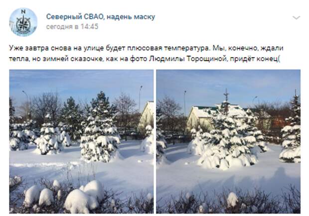 Фотокадр: снежная сказка в Северном перед оттепелью