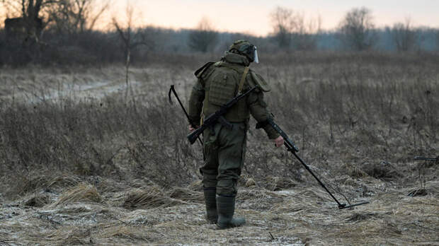 Российский сапер обезвредил 86 мин ВСУ в огороде мирной жительницы