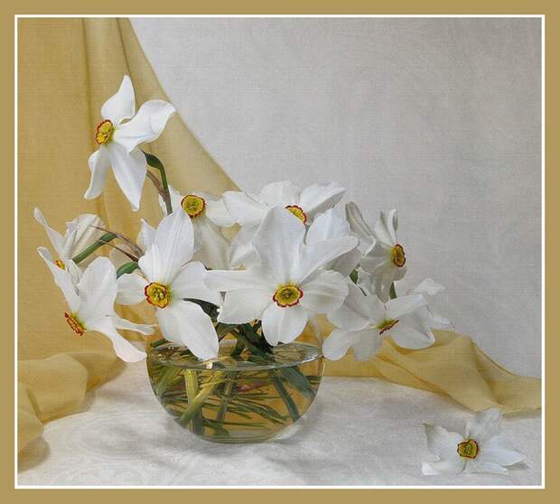 0_8c87_871deb93_XL (700x630, 120Kb)