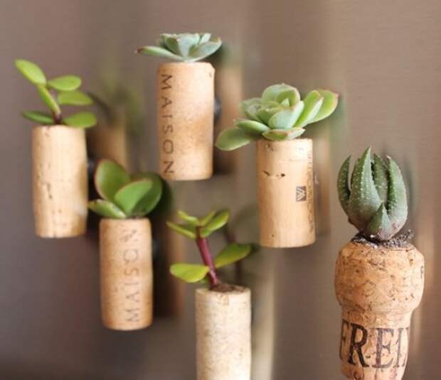 cork_planters18-500x432