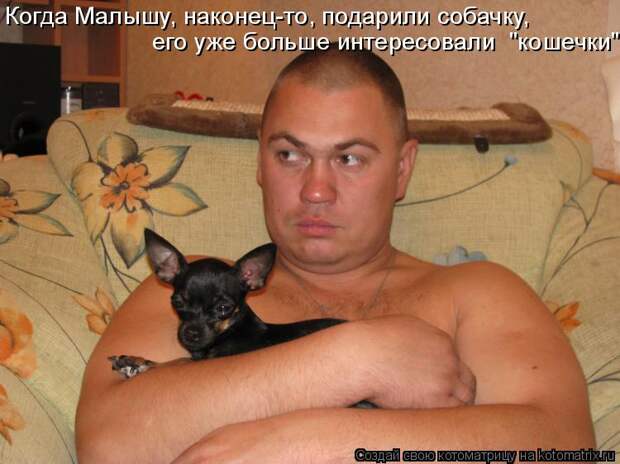 Котоматрица - Когда Малышу, наконец-то, подарили собачку, его уже больше интересовал