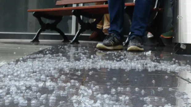 В Крыму заявили об увеличении площади пострадавших от града сельхозугодий