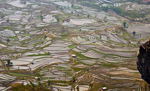 yunnan rice terraces2 12 Рисовые террасы Хунхэ Хани включены в Список Всемирного наследия ЮНЕСКО
