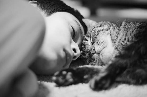 Сонное царство: кот сладко спит вместе со своим маленьким хозяином.