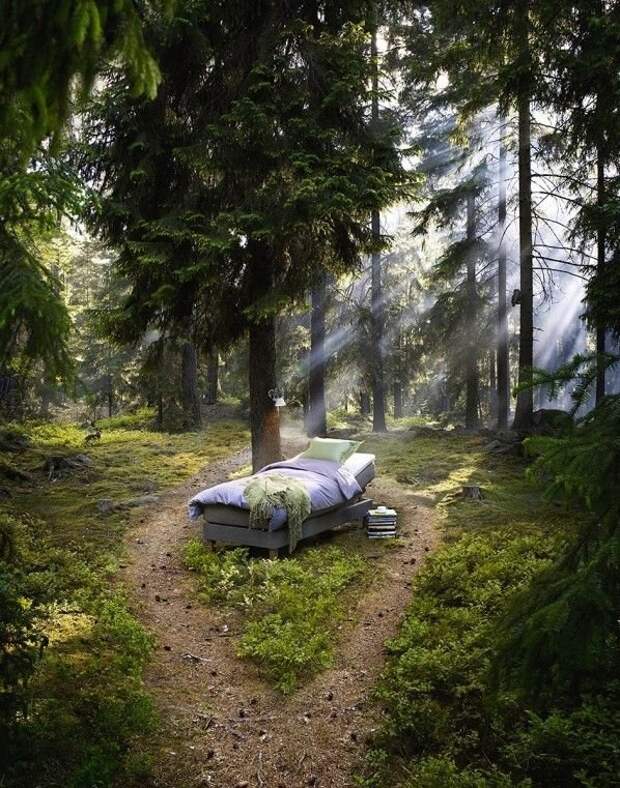 Фотоподборка четверга (104 фото)