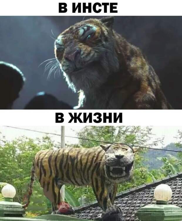 Подборка картинок. Вечерний выпуск (25 фото)