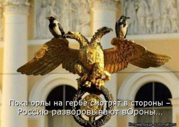 Котоматрицы (картинки с подписями)