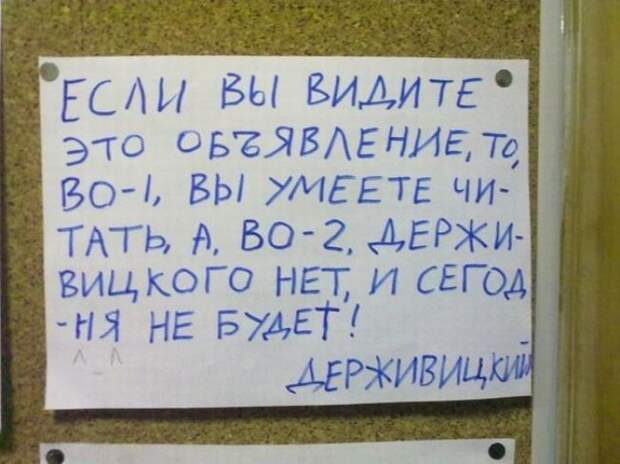 Заместитель декана Держивицкий, великий и ужасный (14 фото)