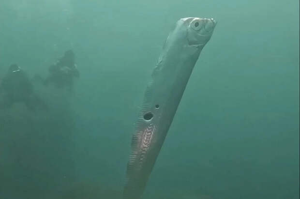 Таврический: в 2026 году будет много необычного, природа даст сигнал людям