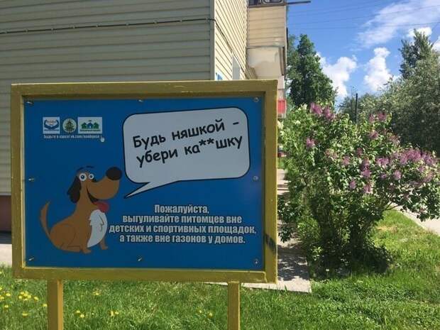 Социалочка: когда реклама удалась Социалочка: когда реклама удалась