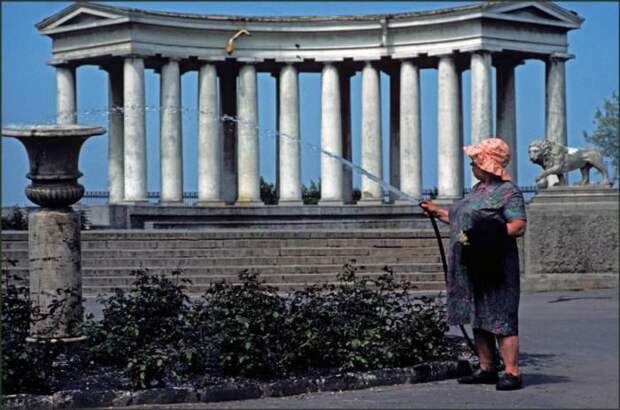 история, интересное, ссср, 1982, фото