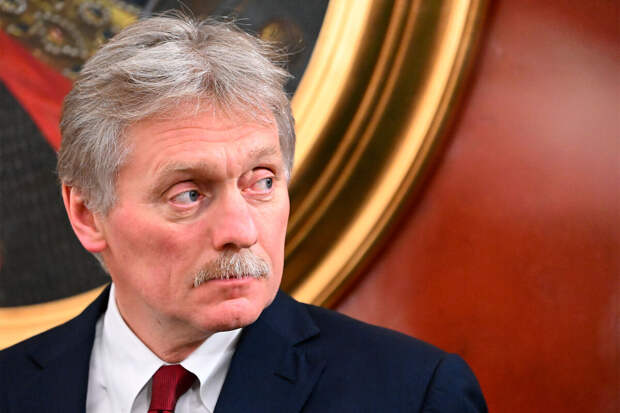 Песков заявил, что с украинской стороны на фронтах нарастает паника