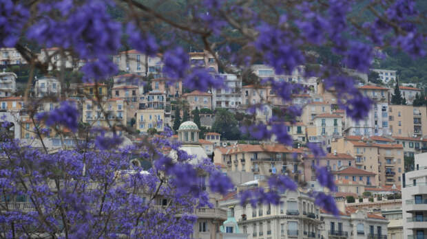 Монумент насилия: в Сербии нашли массовое захоронение 77 женщин и детей