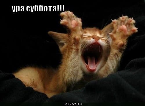 Коллекция весёлых картинок про субботу