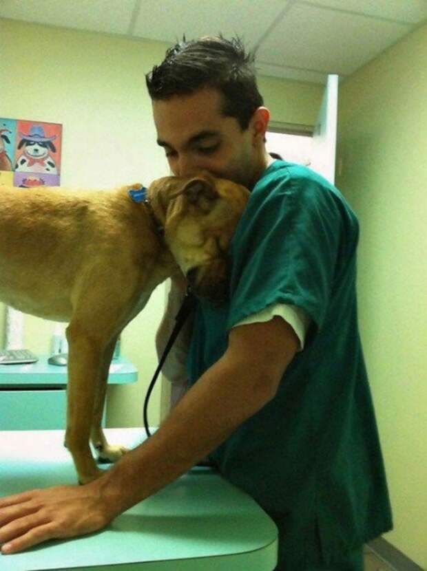 20 фото-доказательств того, что ветеринар - замечательная профессия