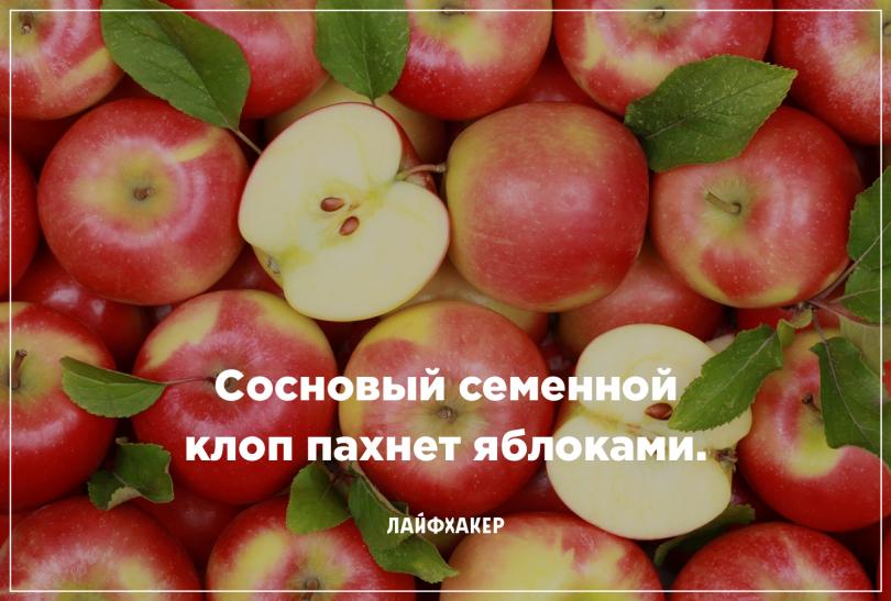 Невероятные научные факты