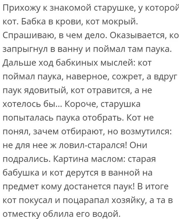 Люди делятся своими историями в социальных сетях (22 скриншота)