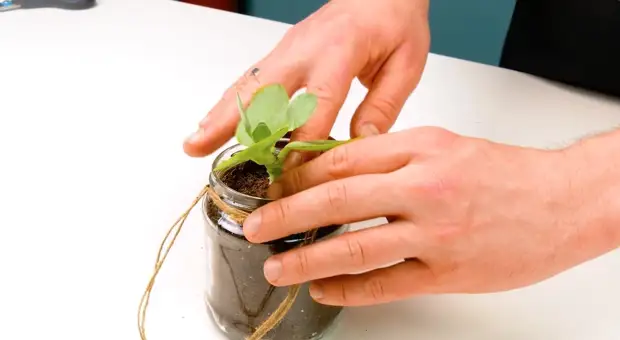 Живые цветы в интерьере: 4 оригинальные идеи для весеннего декора