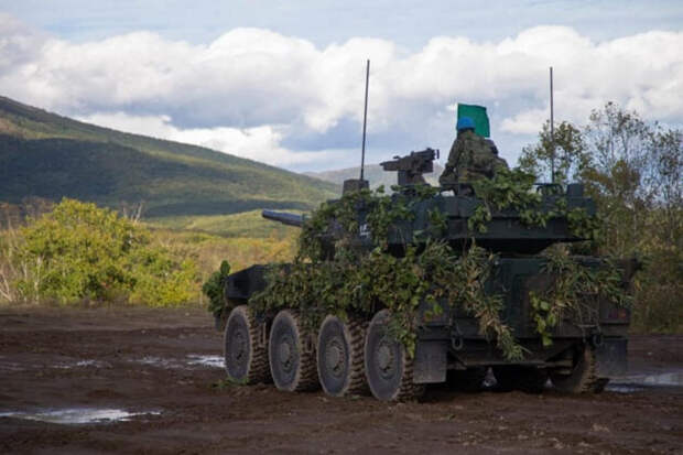 Силы самообороны Японии/ Реорганизация.