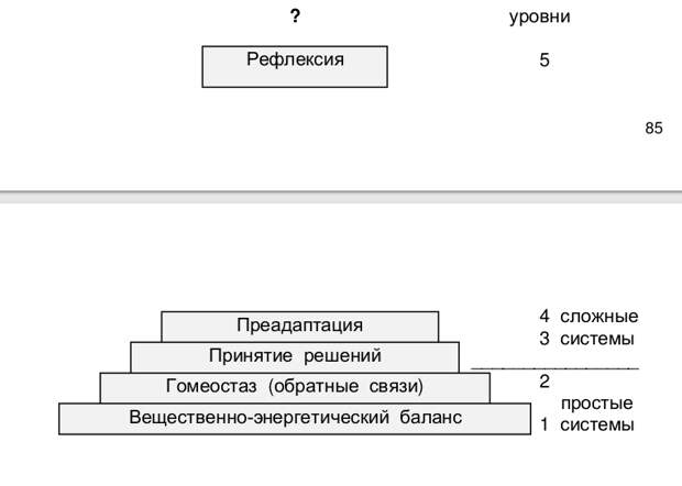 Пять уровней сложности организации систем. Из: Розенберг и др., 1998.