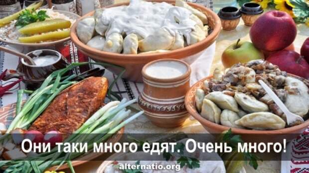 Они таки много едят. Очень много!