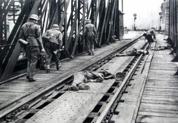 1941, война, подвиг