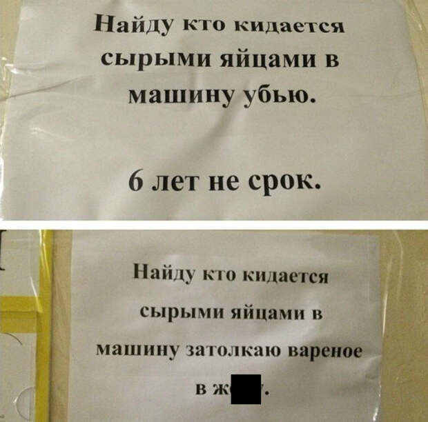 Яичная война соседей. Яичная война соседей.