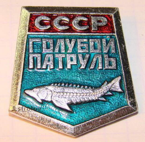 grey Маленькие коллекционеры прошлого