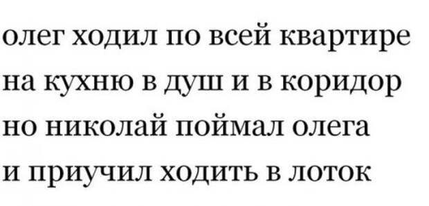 Прикольные картинки поглядим-ка (60 шт)