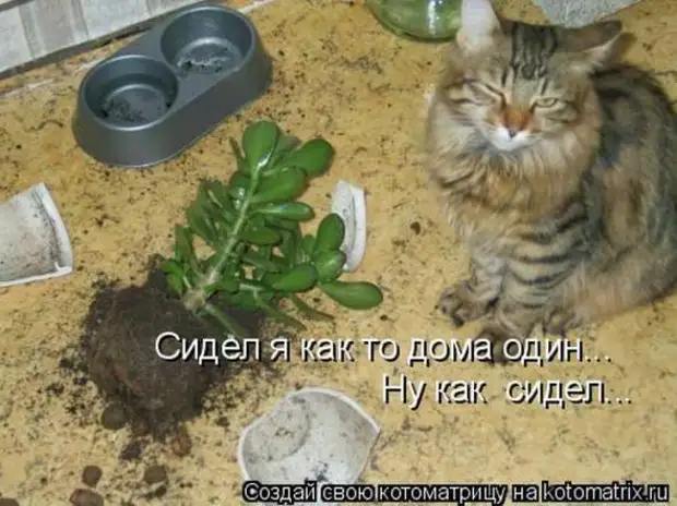 Прикольные картинки про цветоводов с надписями