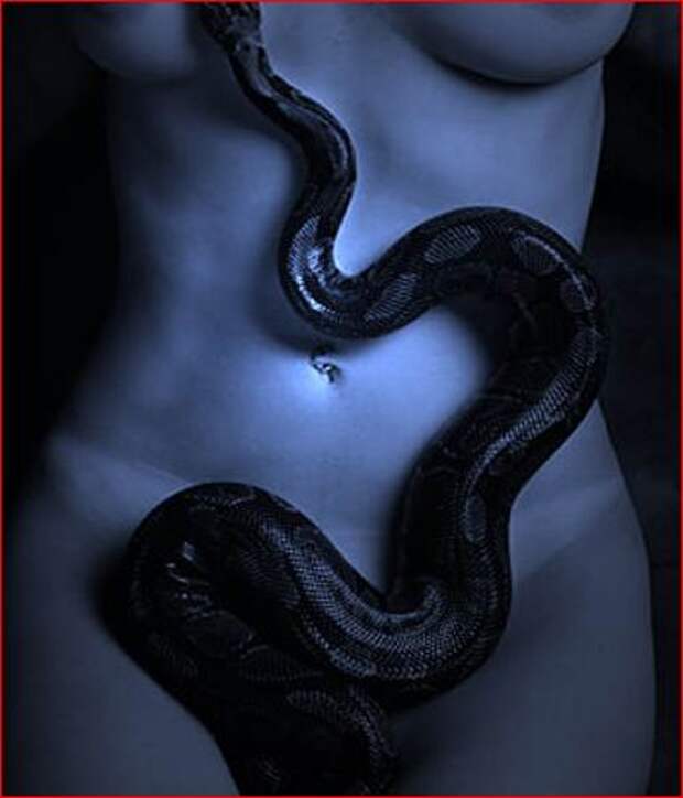 Snake On Nude Teen