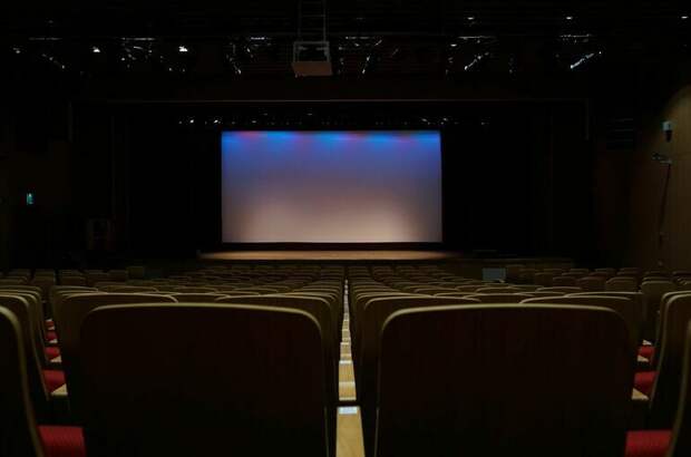 На поддержку кино в 2026 году выделено более 14 млрд рублей