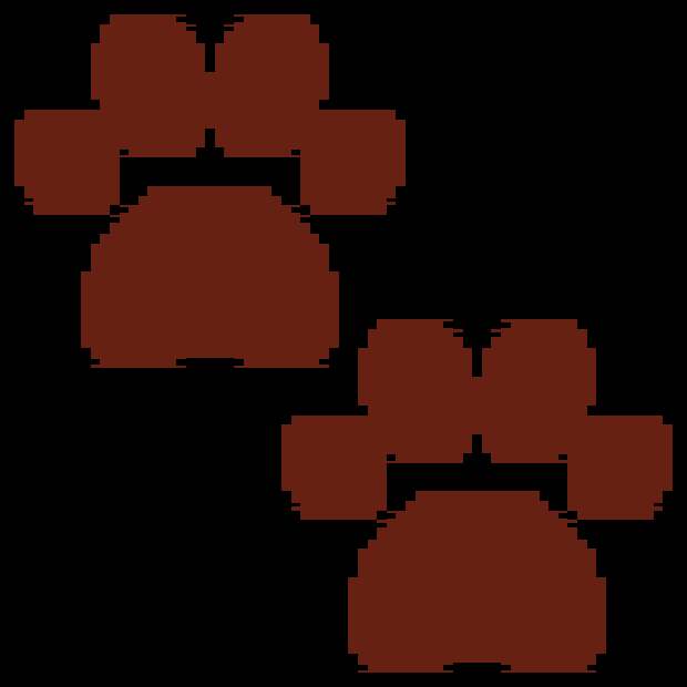 Следы от лап