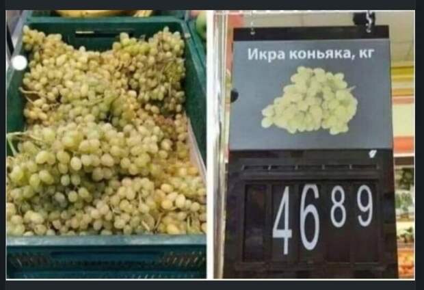 Икра коньяка Икра коньяка