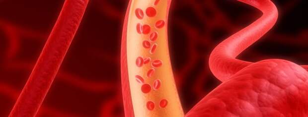 Как очистить сосуды? чистые сосуды залог долголетия и крепкого здоровья Medicingid.ru
