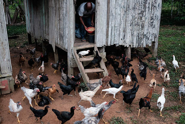 Амазонская фабрика любви: Фоторепортаж из единственного в мире этичного производства презервативов