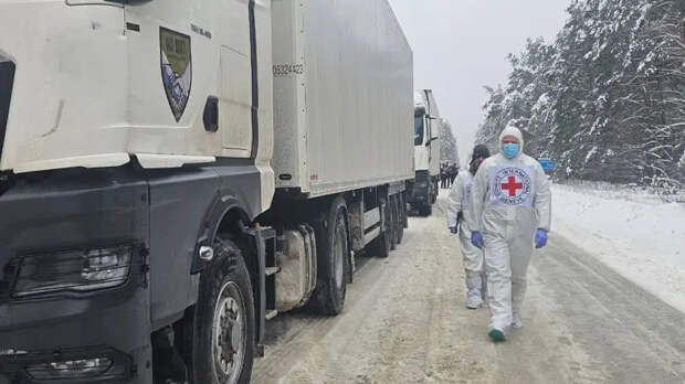 О чем говорят обмены телами погибших между ВС РФ и ВСУ