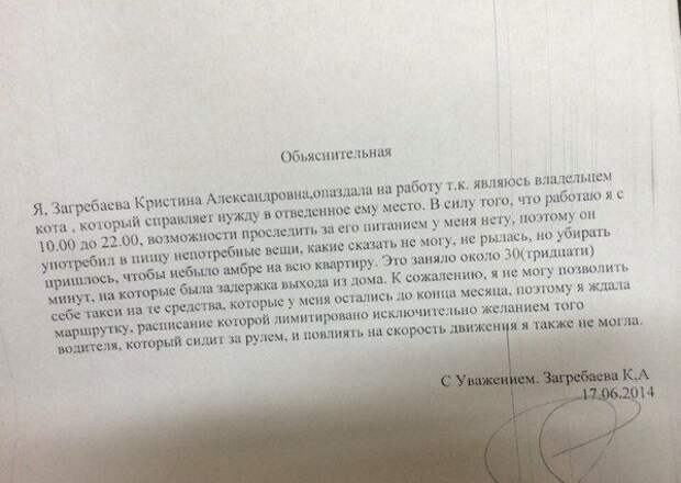 Смешные объяснительные  объяснительные, юмор
