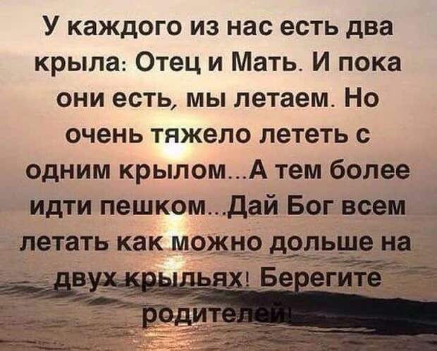 Цитаты о родителях, красивые цитаты, красивые высказывания, цитаты в картинках,