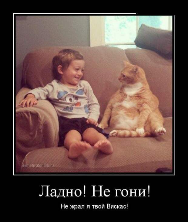 Новые прикольные демотиваторы (38 шт)