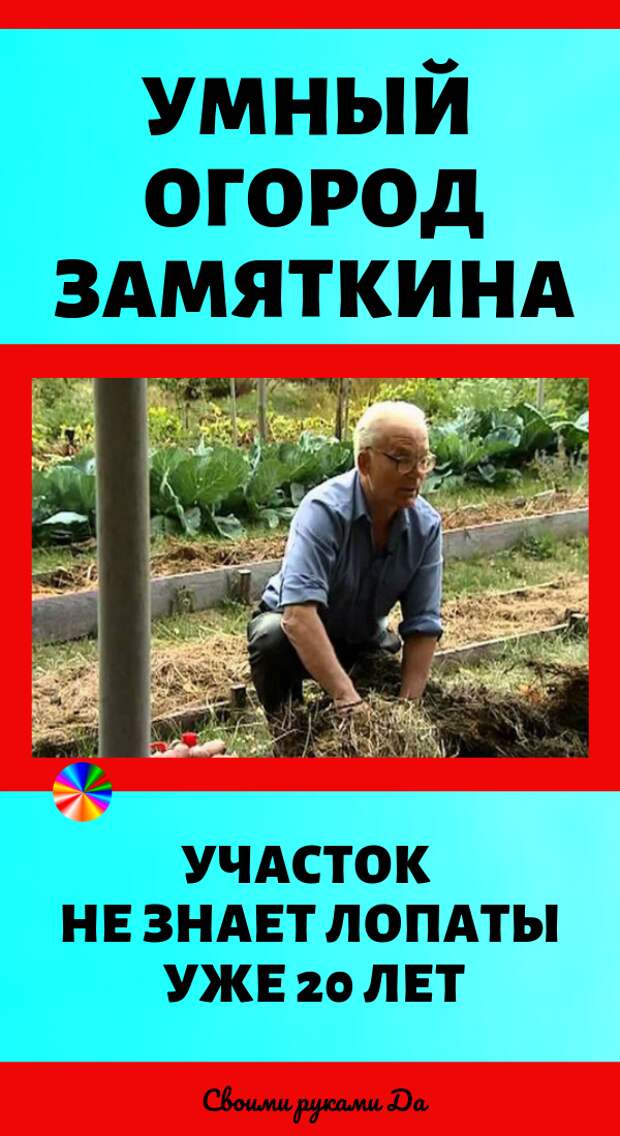 Умный огород Замяткина: участок не знает лопаты уже 20 лет. Советы для дачи своими руками