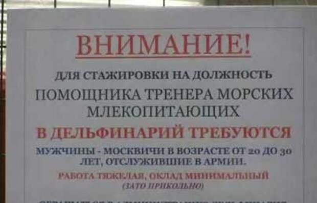 ТОП самых забавных объявлений: читаем и улыбаемся!