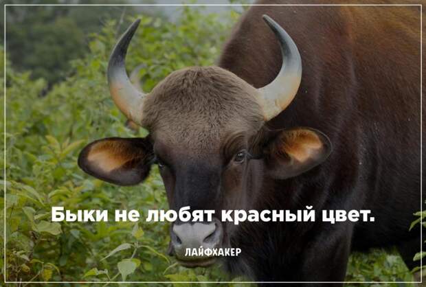Невероятные научные факты