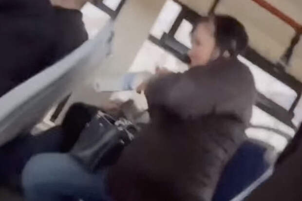 На Урале пассажирка трамвая бутылкой водки ударила девушку и попала на видео