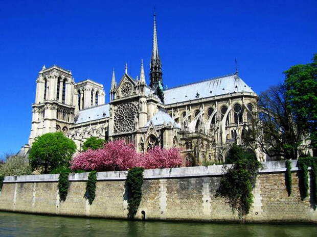 Dame-de-Paris-wallpaper-1600x1200 (700x525, 147Kb)