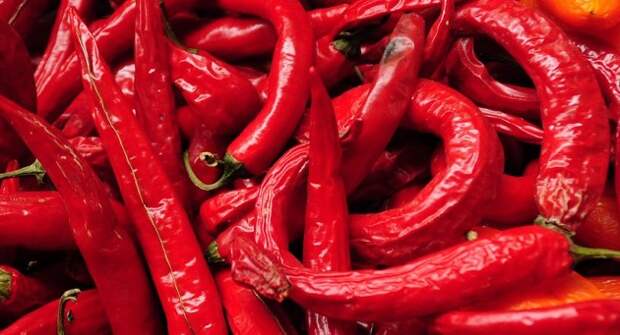 Тля на яблоне. Нашатырь и перец — средства, которые помогают