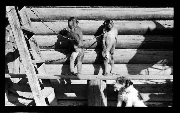 Фотография: Москва 1909 года №66 - BigPicture.ru