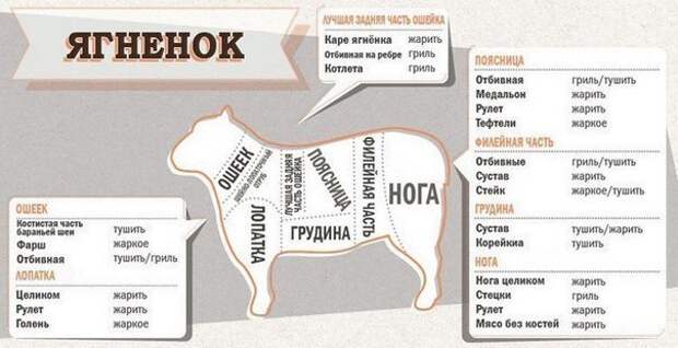 Специальная шпаргалка для кухни. Сохраните, чтобы не забыть!