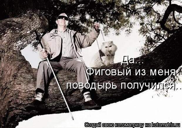 Да... Фиговый из меня поводырь получился...